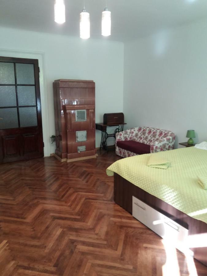 בראשוב Charming Downtown Studio מראה חיצוני תמונה