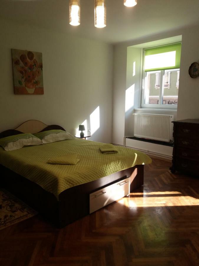 בראשוב Charming Downtown Studio מראה חיצוני תמונה